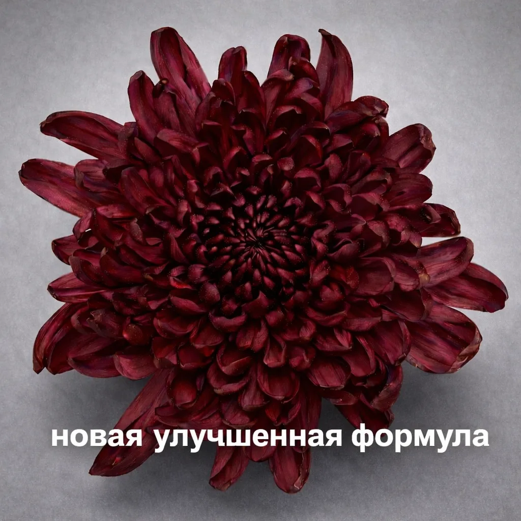 ТЕМНО-КРАСНЫЙ